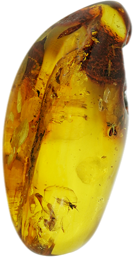 32,30 g Amber Nugget with inclusion (3)