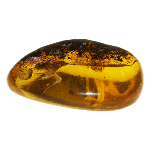 32,95 g Amber Nugget with inclusion (2)