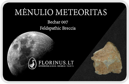Mėnulio meteoritas (1)