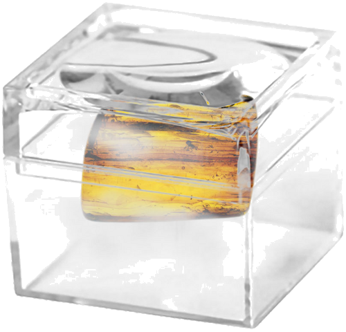 Самородок янтаря с инклюзом 2,55 г (2)