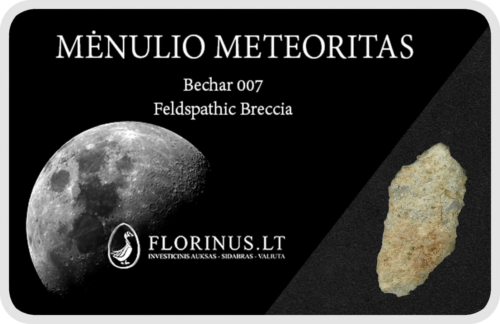 Mėnulio meteoritas (1)