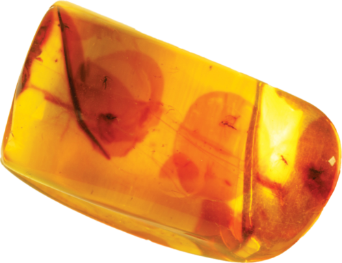 15,65 g Amber Nugget with inclusion (1)