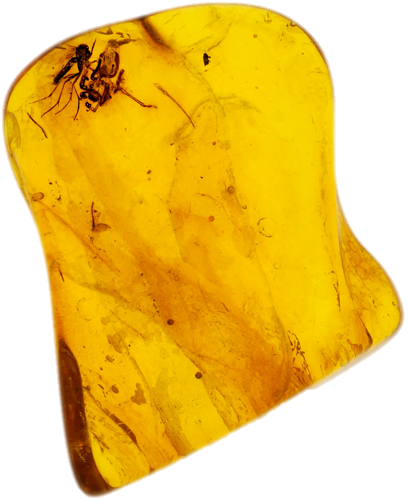 2,00 g Amber Nugget with inclusions (1)