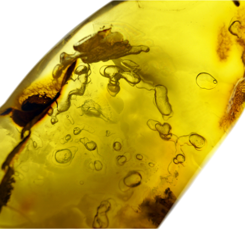 41,40 g Amber Nugget with water and bubbles (2)