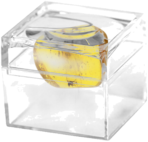 4,05 g Amber Nugget with inclusion (2)