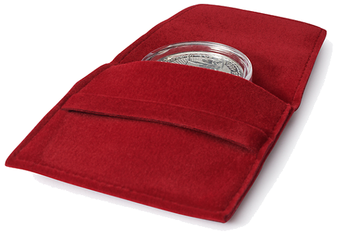 Monetos įdėklas (2)