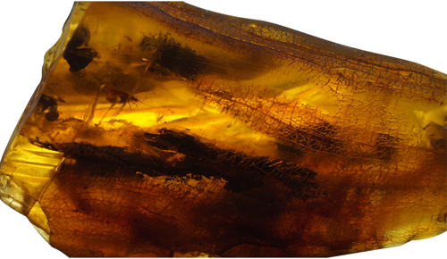 47 g Amber Nugget with inclusions (7)