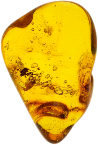 2,75 g Amber Nugget with inclusion (1)