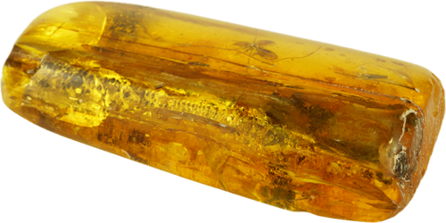Самородок янтаря с инклюзом бабочки 18,75 г (3)