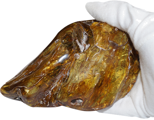 610 g Gintaro grynuolis (2)