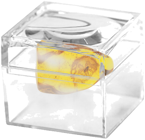 Самородок янтаря с инклюзом 1,90 г (2)