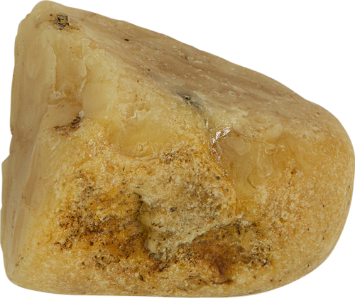 5,80 g Jūras dzintara tīrradnis (2)