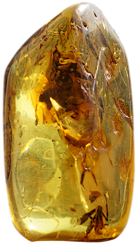 24,75 g  Amber Nugget with inclusion (1)