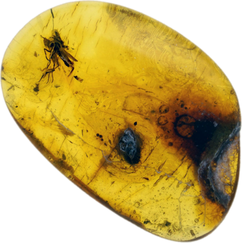 1,05 g Amber Nugget with inclusion (1)