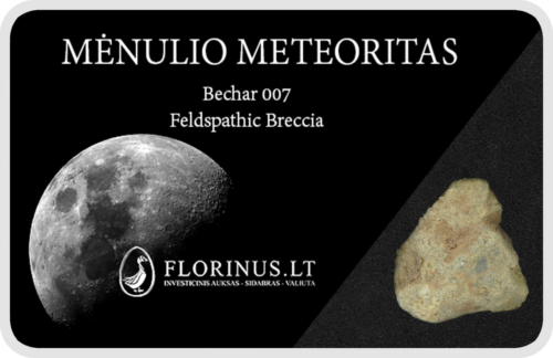 Lunar Meteorite (1)