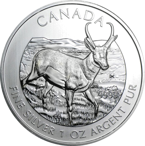 1 oz Pronghorn Antelope 2013 Canada Silver Coin (1)
