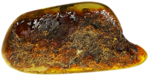 19,85 g Amber nugget with tree bark inclusion (3)
