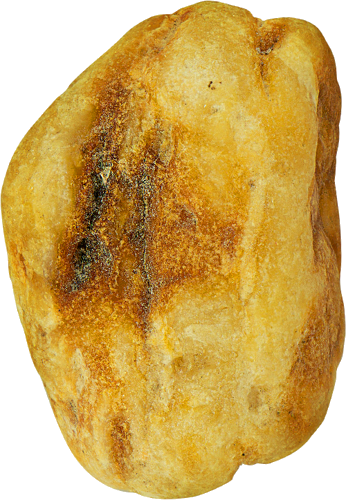 8.45 g Sea amber nugget (1)