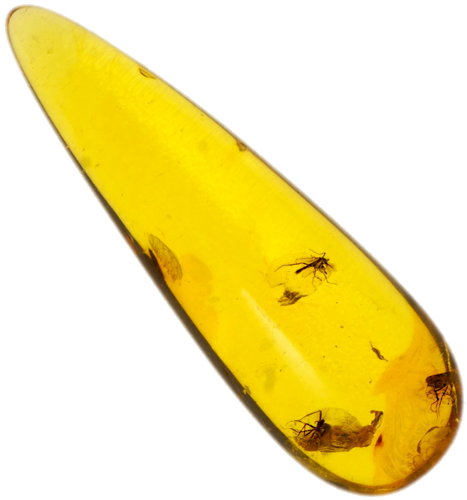 3,00 g Amber Nugget with inclusion (1)