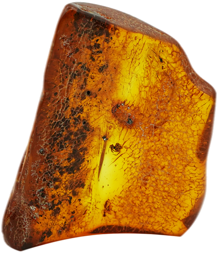 22 g Amber Nugget with fly inclusion (1)