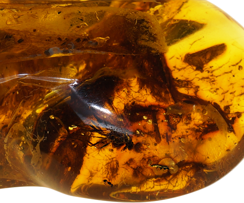 27,40 g Amber Nugget with inclusions (3)
