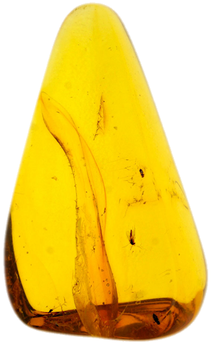 2,85 g Amber Nugget with inclusion (1)