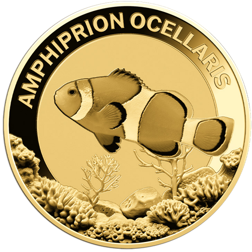 1/1000 oz Clownfish Amphiprion Ocellaris 3000 frankų Čadas auksinė moneta (2)