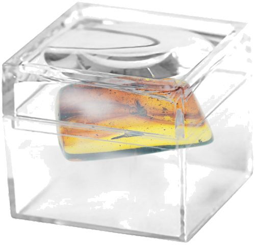 Самородок янтаря с инклюзом 3,70 г (2)