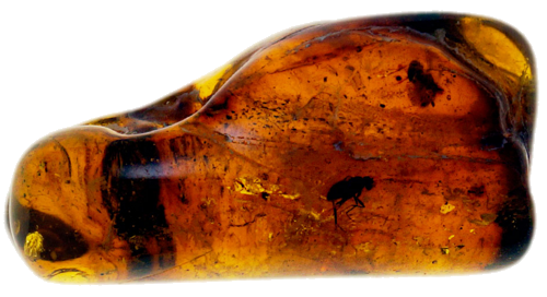 4,55 g Amber Nugget with inclusion (1)