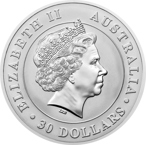 1 kg Koala 2012 Australia Silver Coin (2)