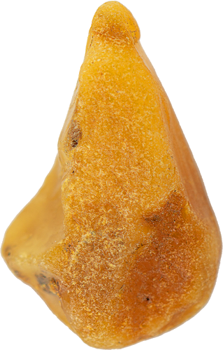 10,30 g Jūrinio Gintaro grynuolis (1)