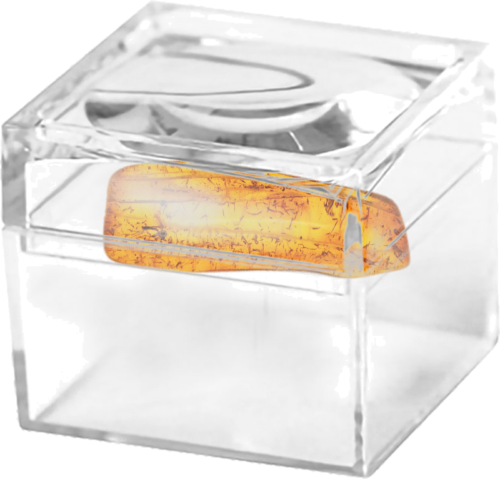 1,30 g Dzintara tīrradnis ar inkrustāciju (2)