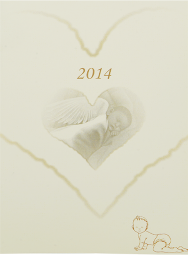 1/2 oz Newborn Baby Virgin Islands Silver Coin (8)