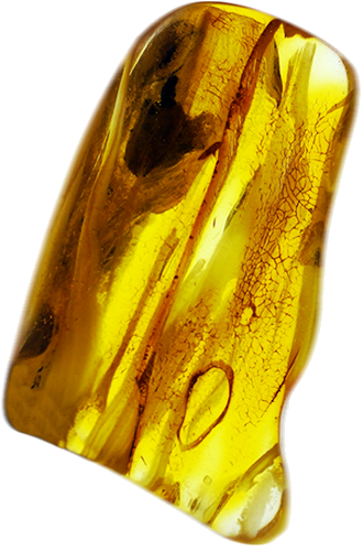 6,60 g Amber Nugget hairdressers (2)