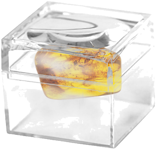 1,75 g Amber Nugget with Spider inclusion (2)