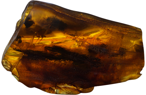47 g Amber Nugget with inclusions (1)