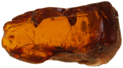 9,40 g Gintaro grynuolis su inkliuzu (1)