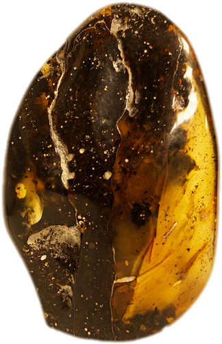 170 g Amber Nugget (6)