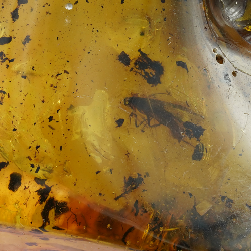 39,25 g  Amber Nugget with inclusion (3)