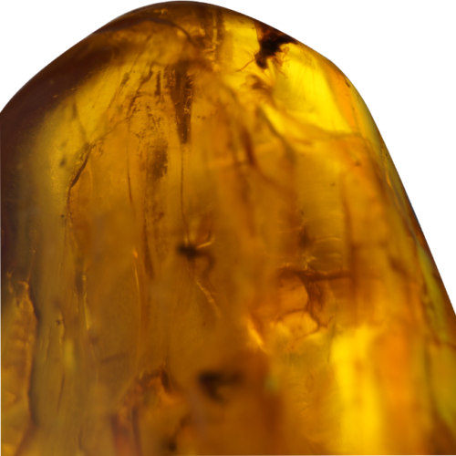 27 g Amber Nugget with inclusions (3)