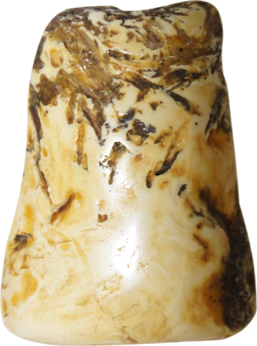 11,55 g Amber Nugget (2)