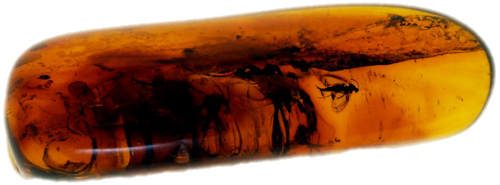 1,45 g Amber Nugget with inclusion (1)