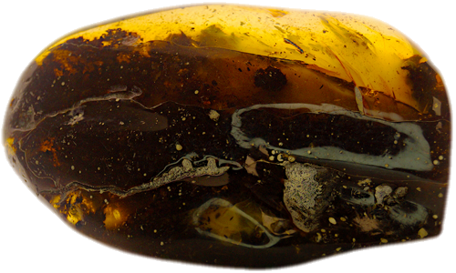 170 g Amber Nugget (4)