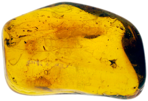 7,40 g Amber Nugget with inclusions (1)