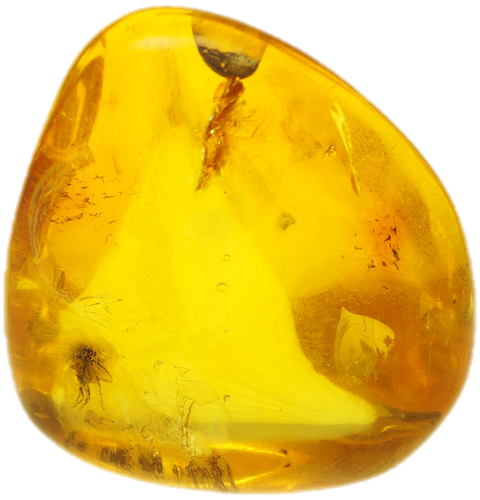 10,90 g Amber Nugget with inclusion (3)