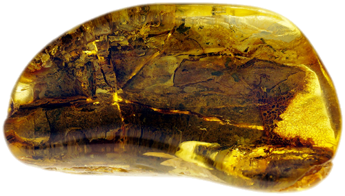 9,45 g Amber nugget with tree bark inclusion (1)