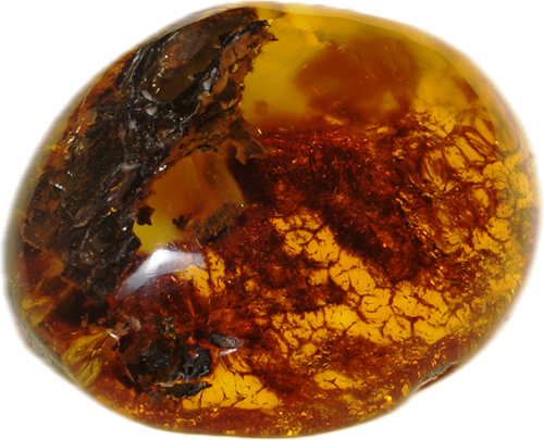 11,25 g Amber Nugget (1)