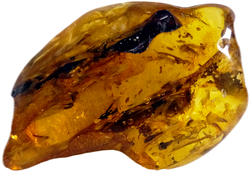 81.10 g Amber Nugget with water and bubbles (1)