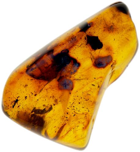 7,50 g Amber Nugget with inclusion (1)