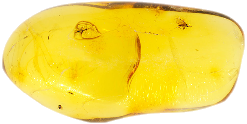 5,75 g Gintaro grynuolis su inkliuzais (1)